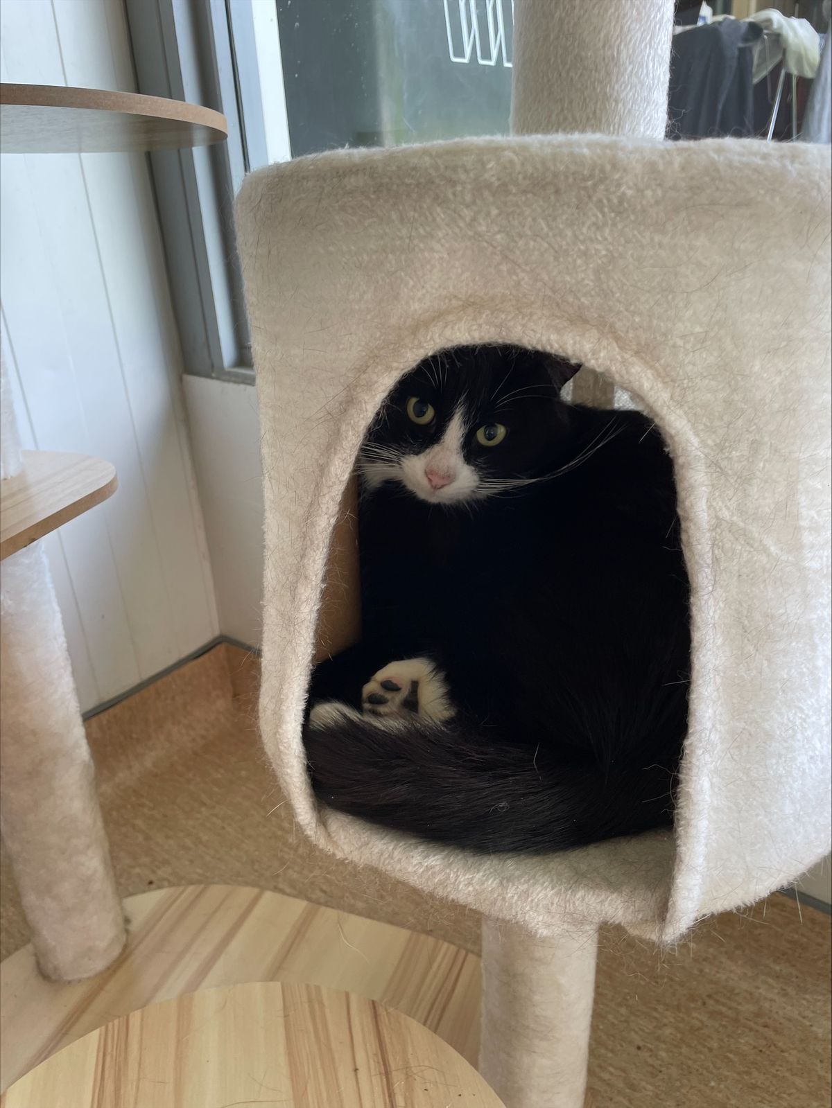 Gallery image: Scooter