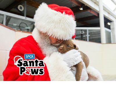 Santa Paws Whanganui