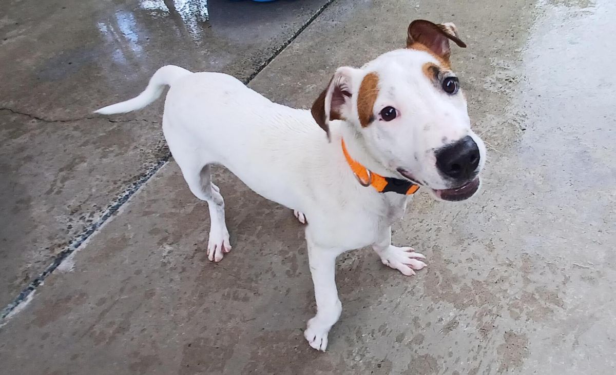 Gallery image: Jordie