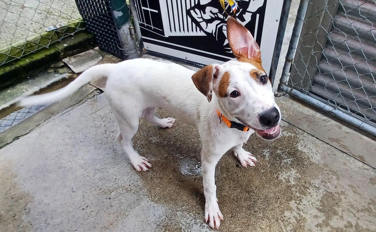 Gallery image: Jordie