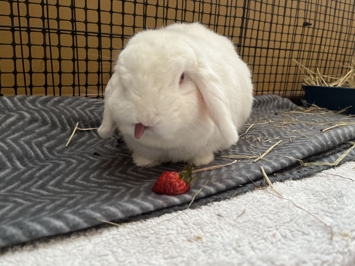 Gallery image: Kimchi