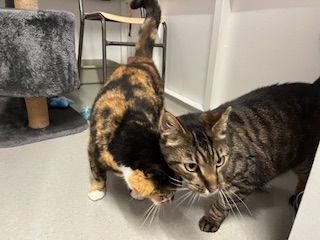 Gallery image: Grace