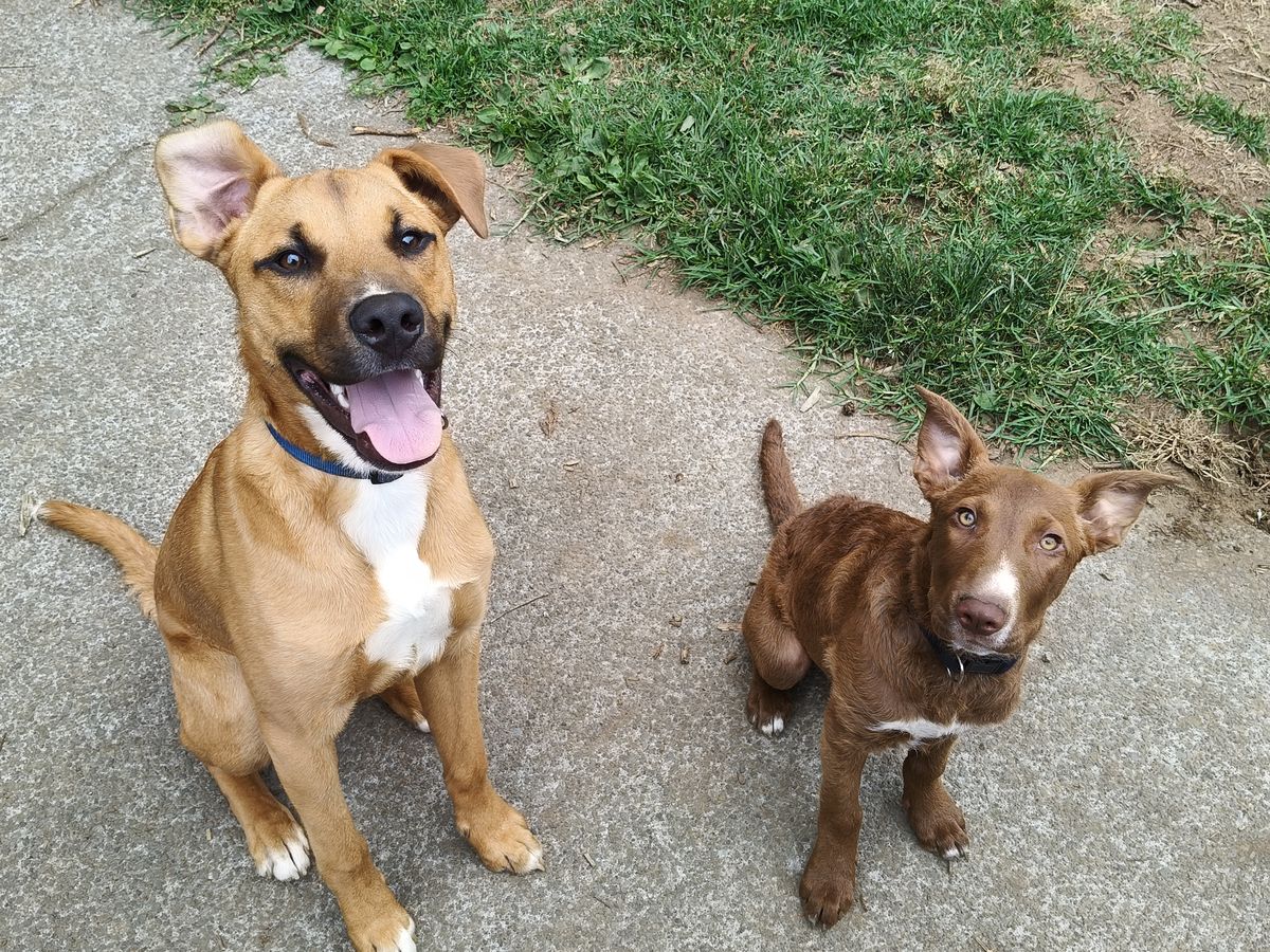 Gallery image: Harley