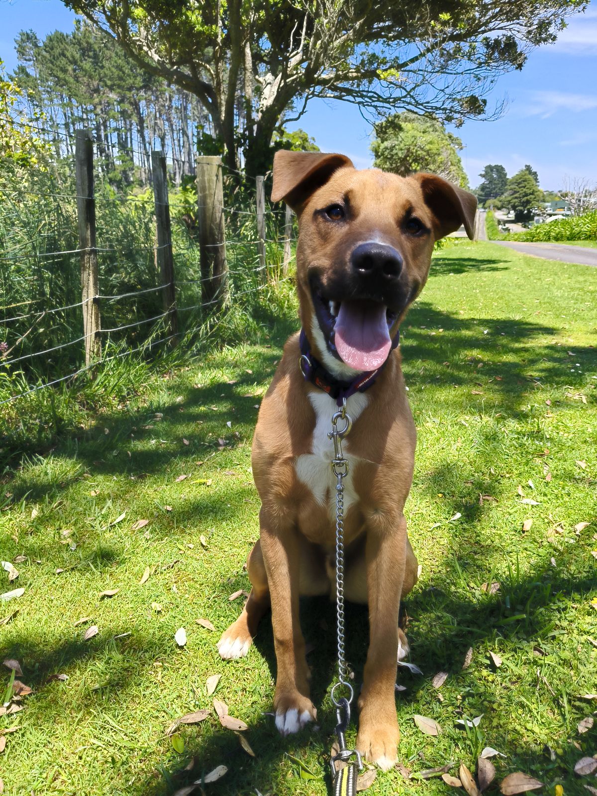 Gallery image: Harley