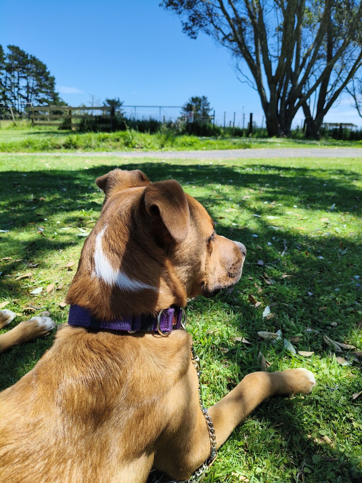 Gallery image: Harley