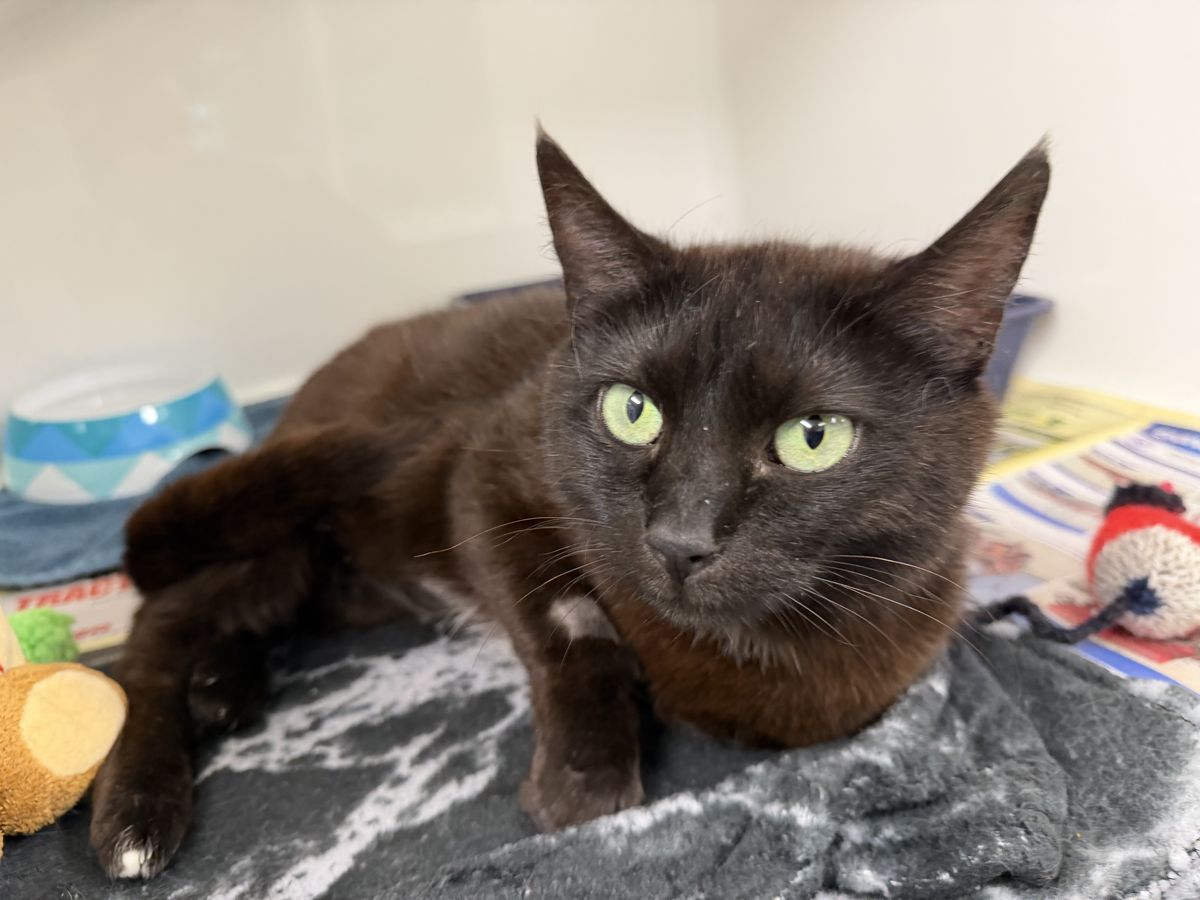 Gallery image: Ellie