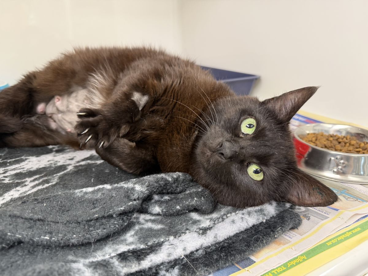 Gallery image: Ellie