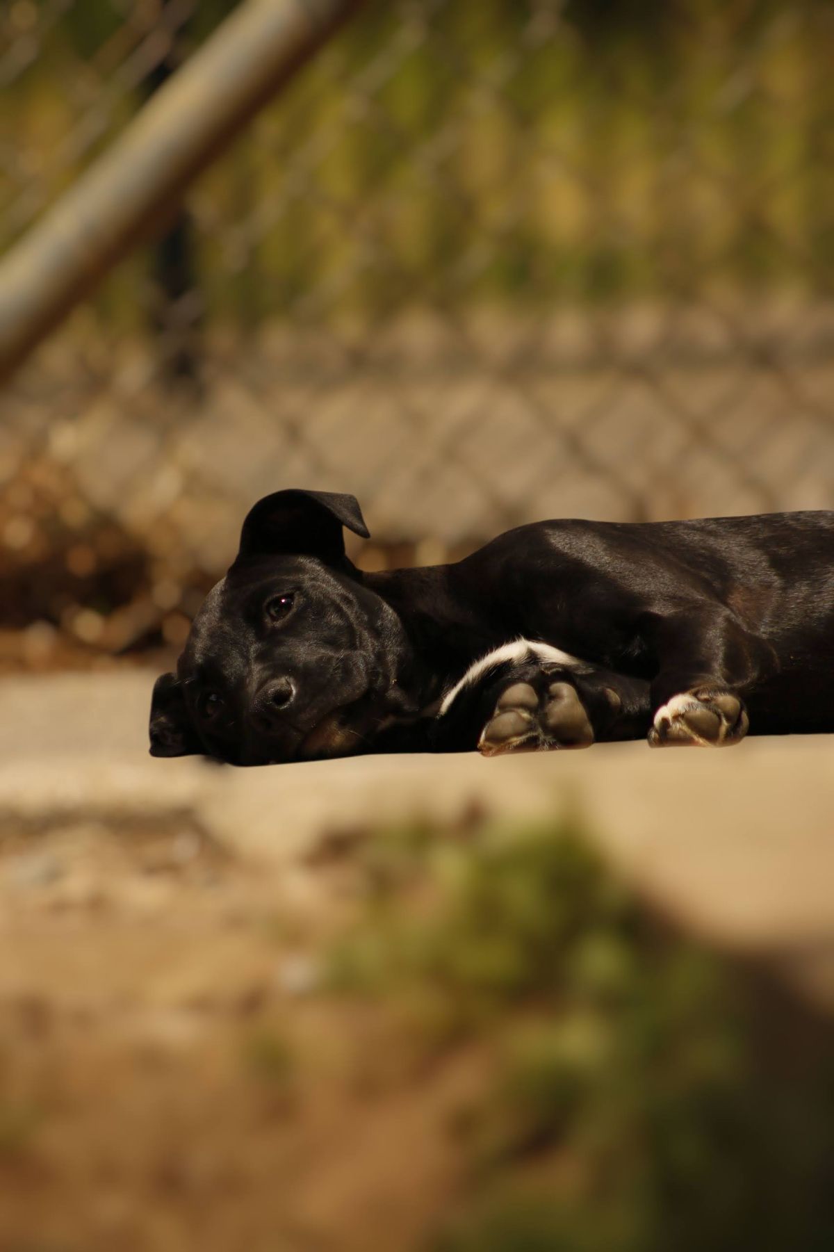 Gallery image: Alice