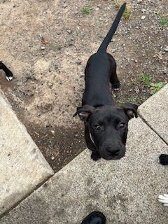 Gallery image: Alice