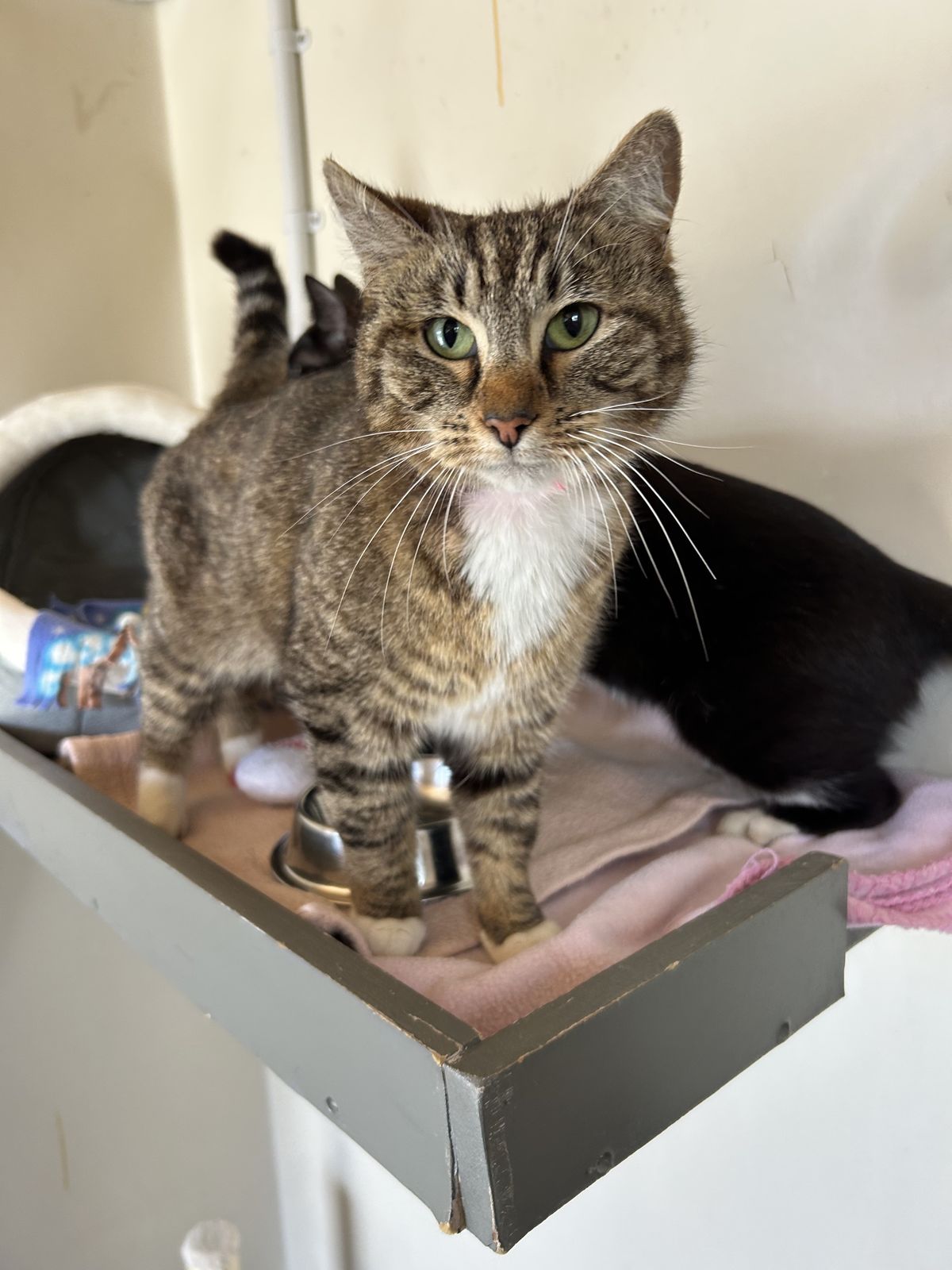 Gallery image: Autumn