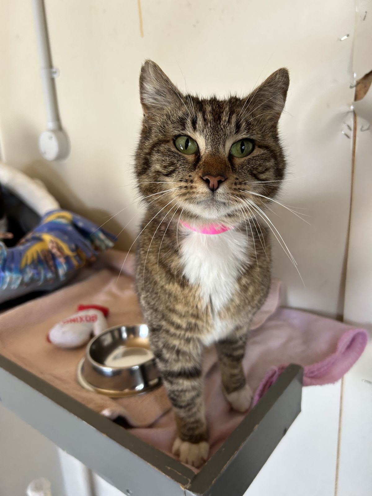 Gallery image: Autumn