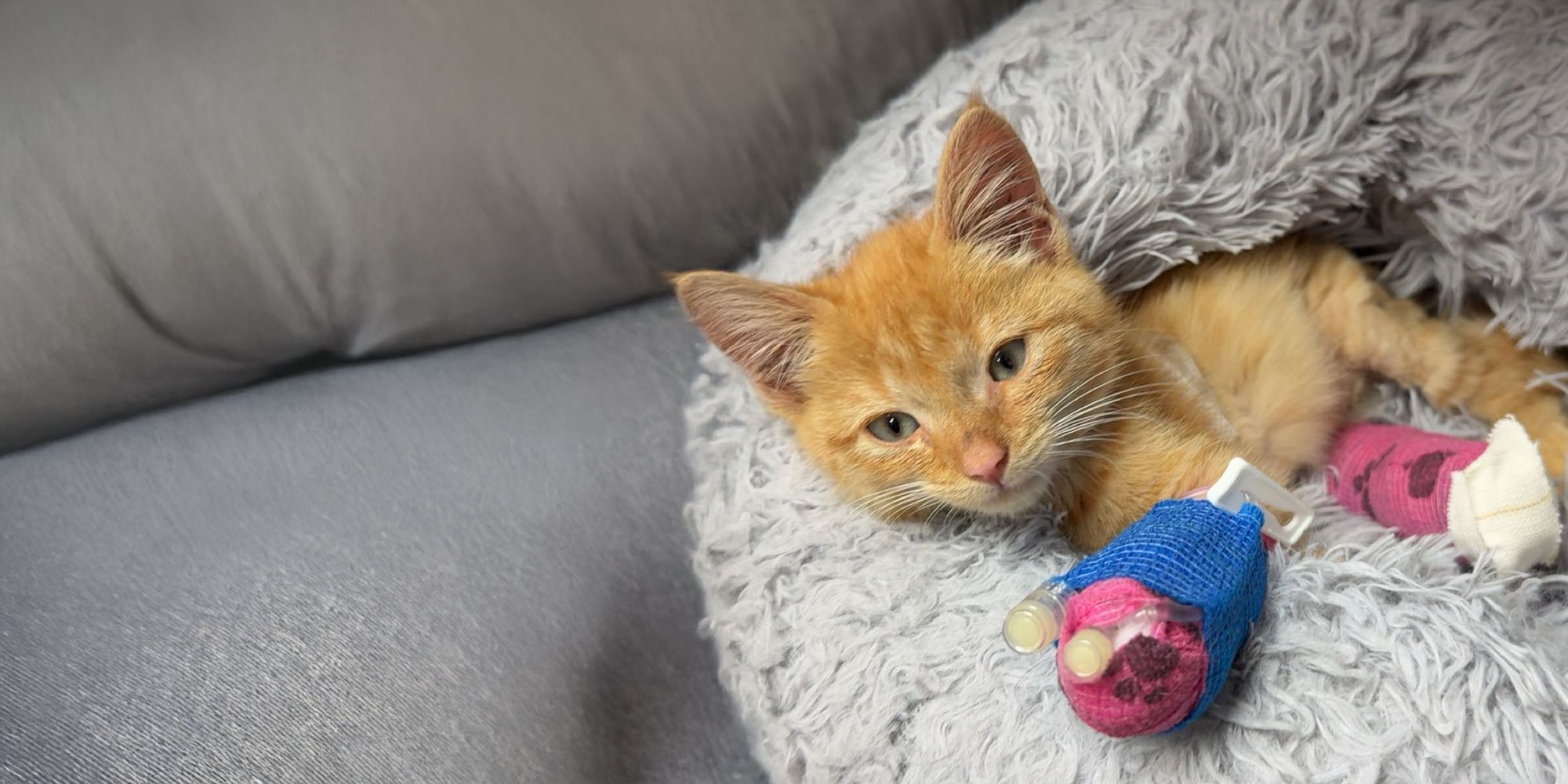 You can be the difference