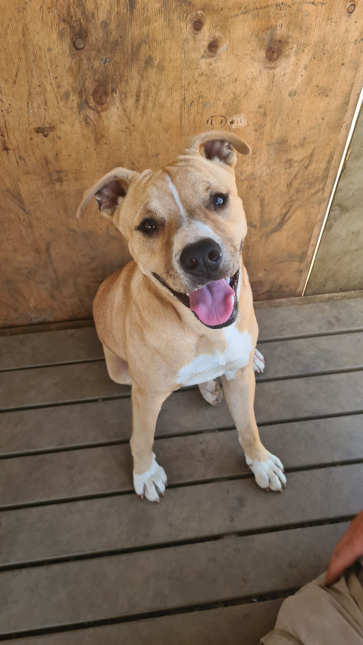 Gallery image: Harry