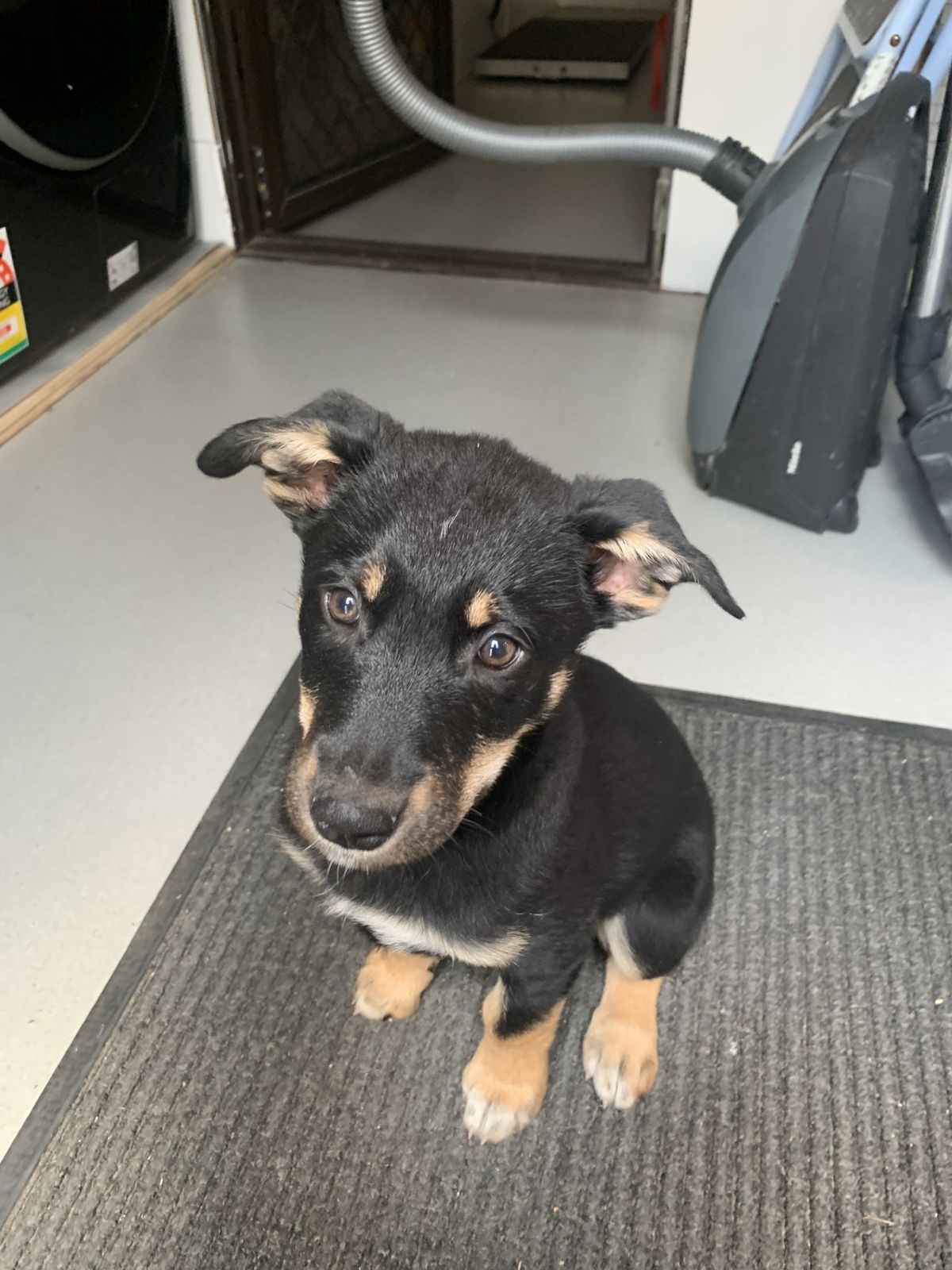 Gallery image: Jenny