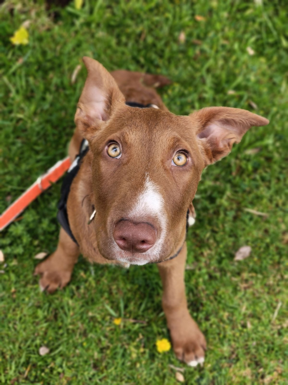 Gallery image: Selma