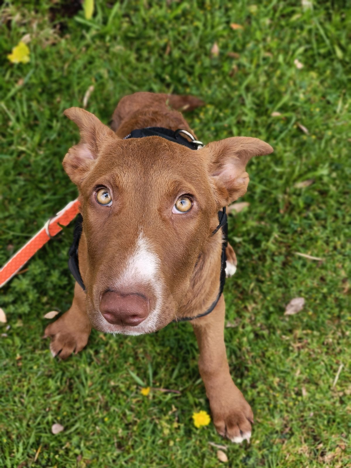 Gallery image: Selma