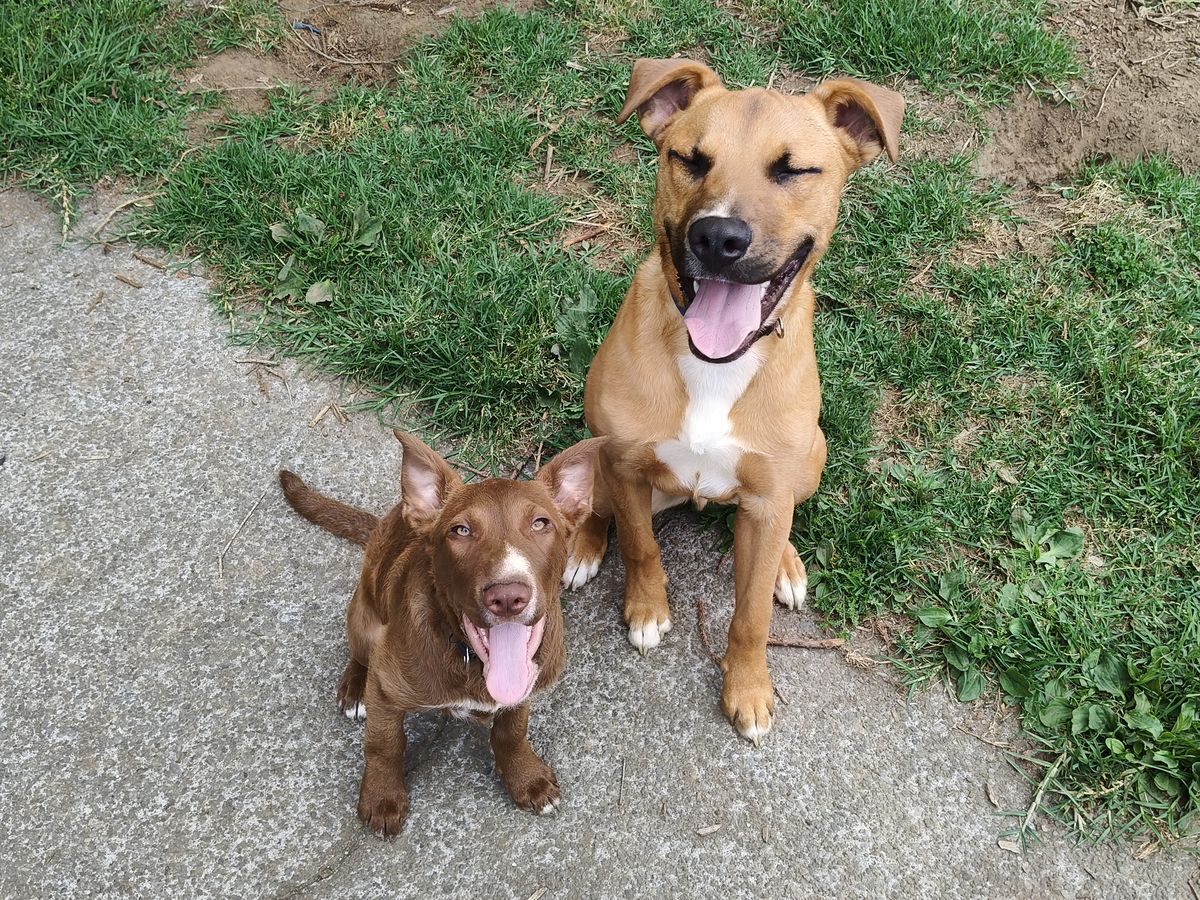 Gallery image: Selma