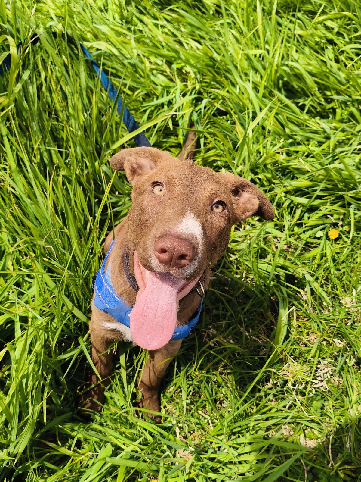 Gallery image: Selma