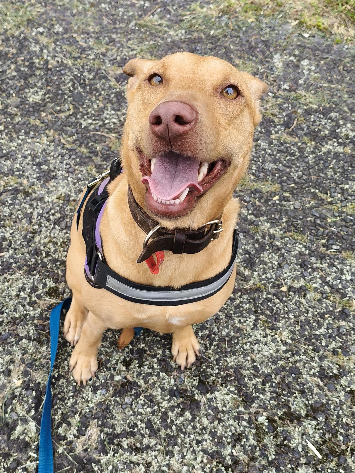 Gallery image: Bella