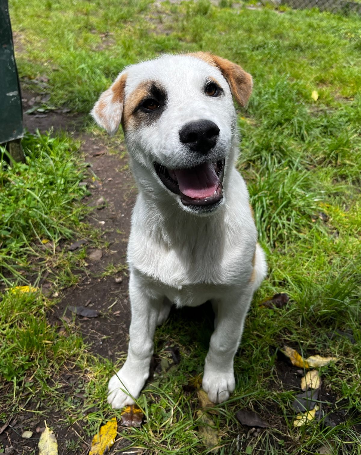 Gallery image: Presley