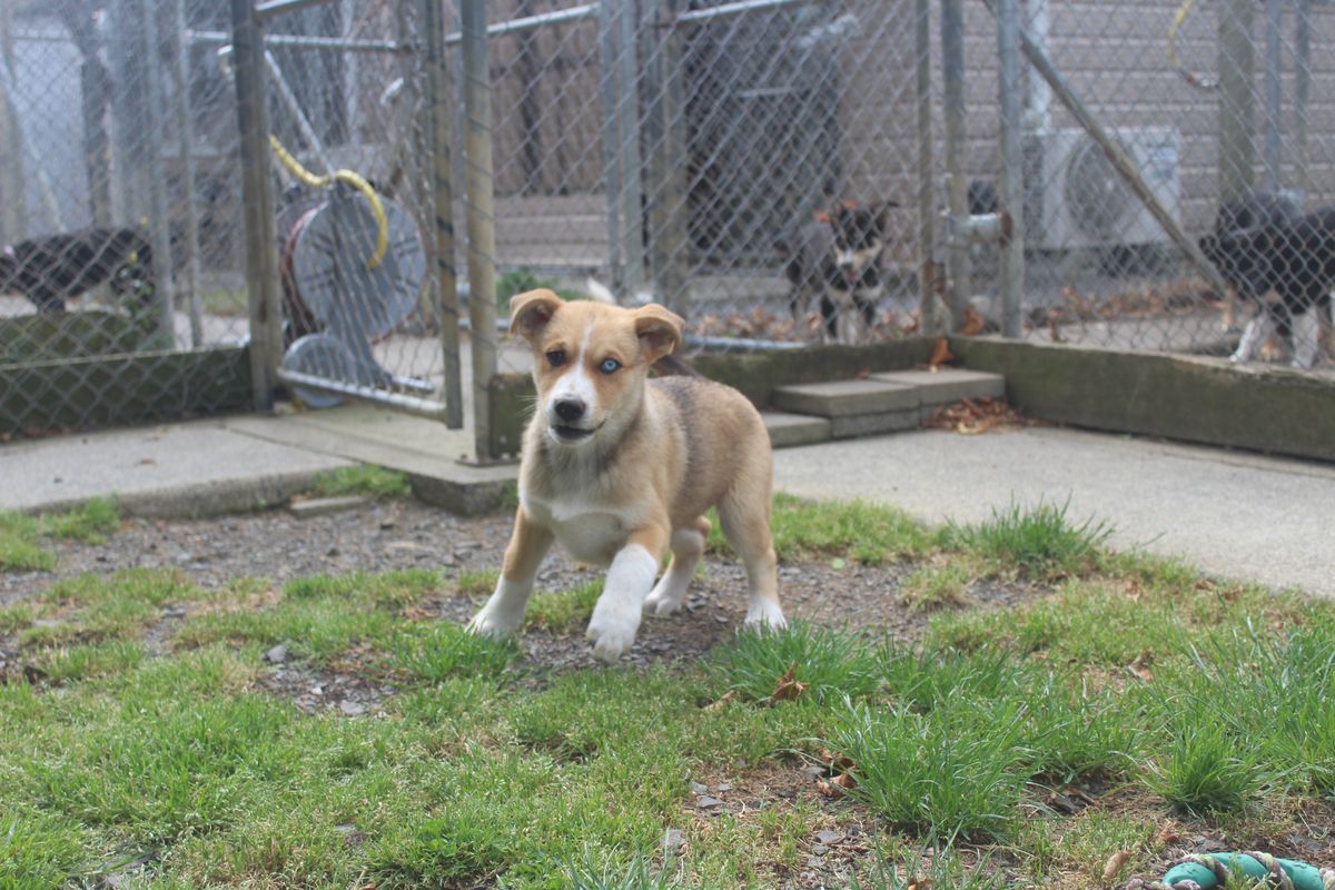 Gallery image: Jessie