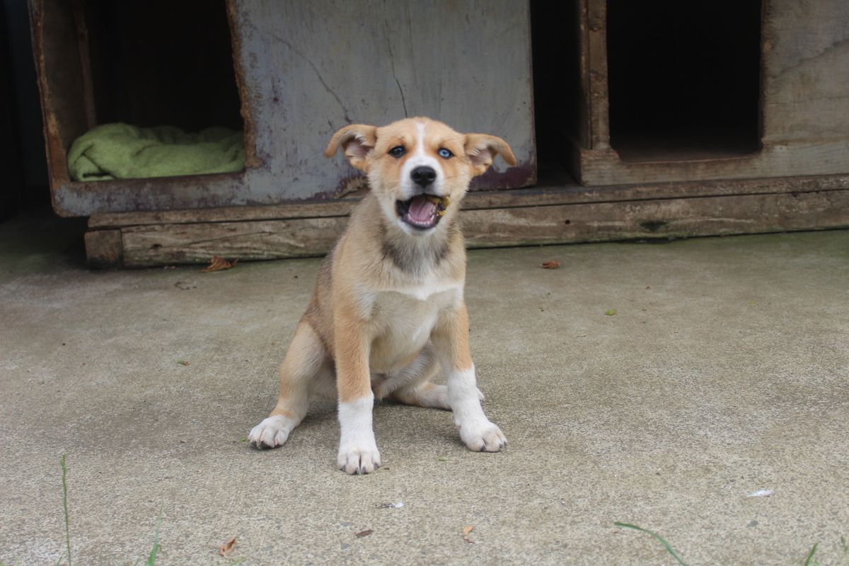 Gallery image: Jessie