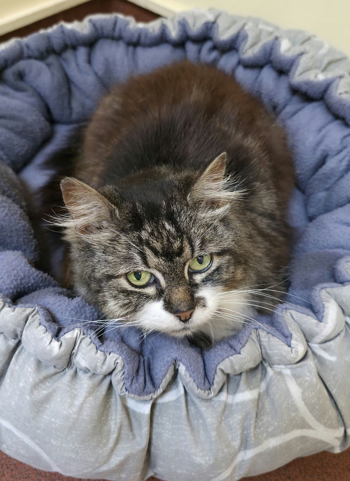 Gallery image: Mauser