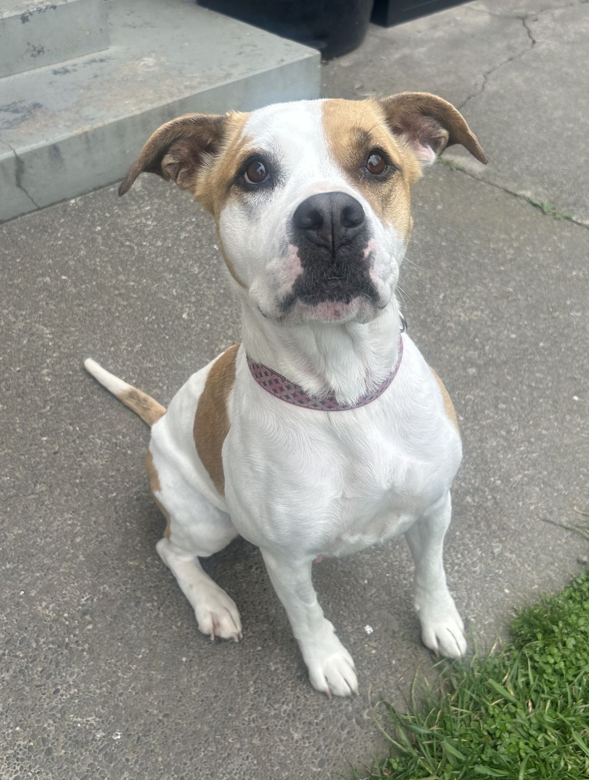 Gallery image: Layla