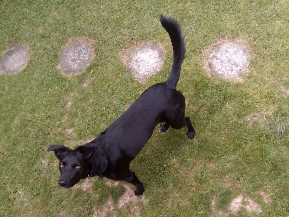 Gallery image: Lucky