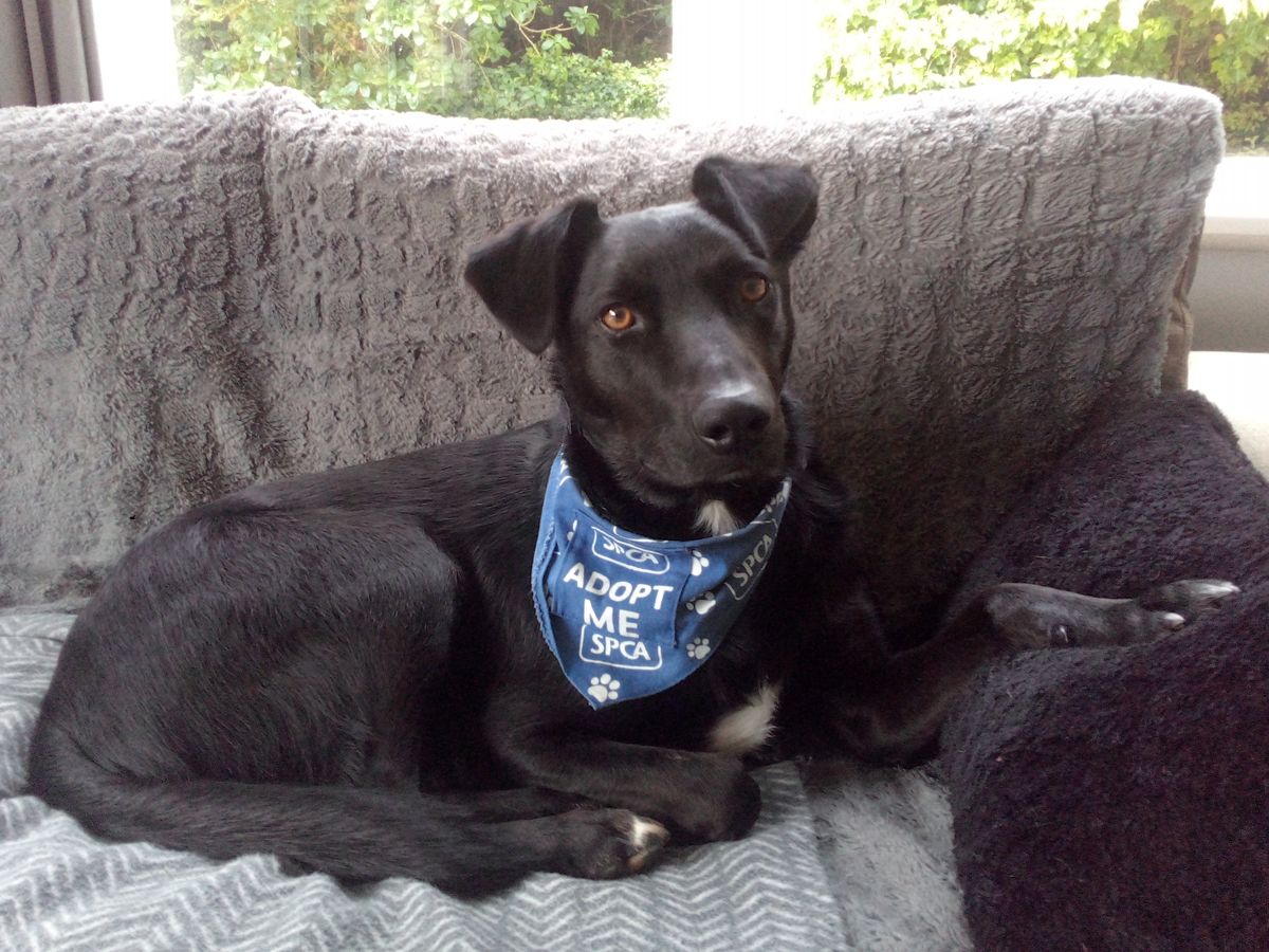 Gallery image: Lucky