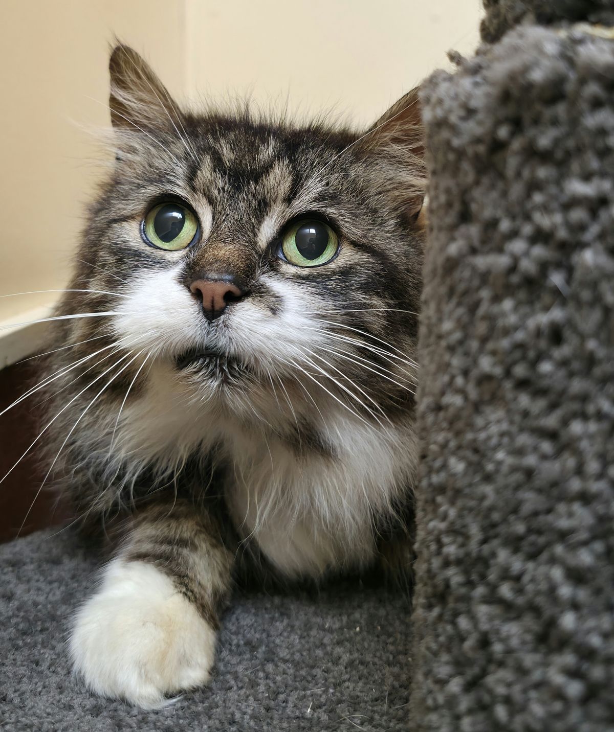 Gallery image: Mauser