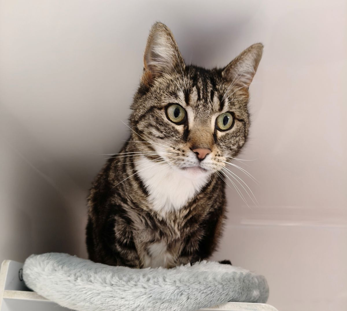 Gallery image: McKenzie