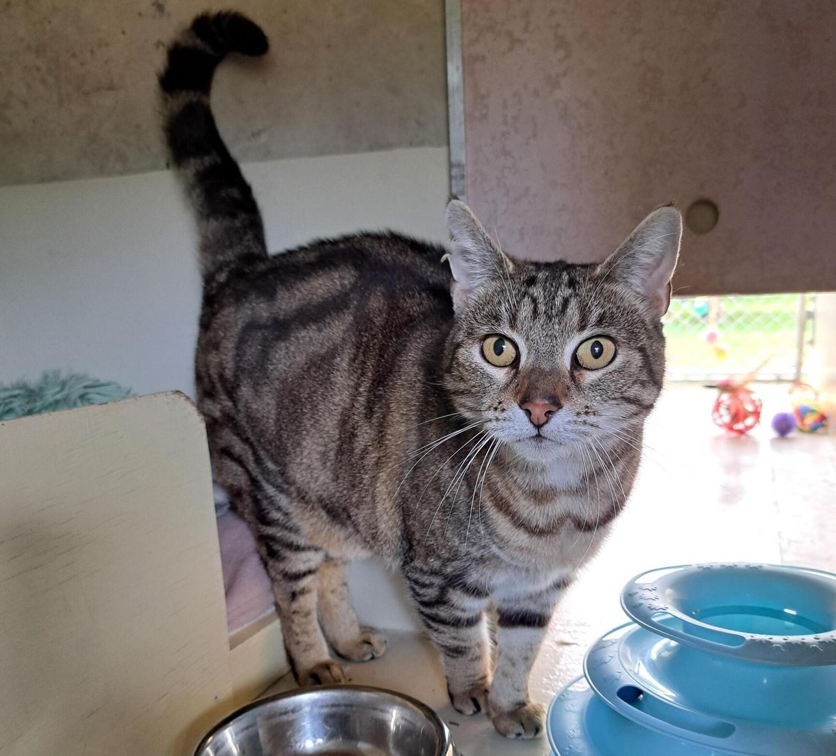 Gallery image: Lizzy