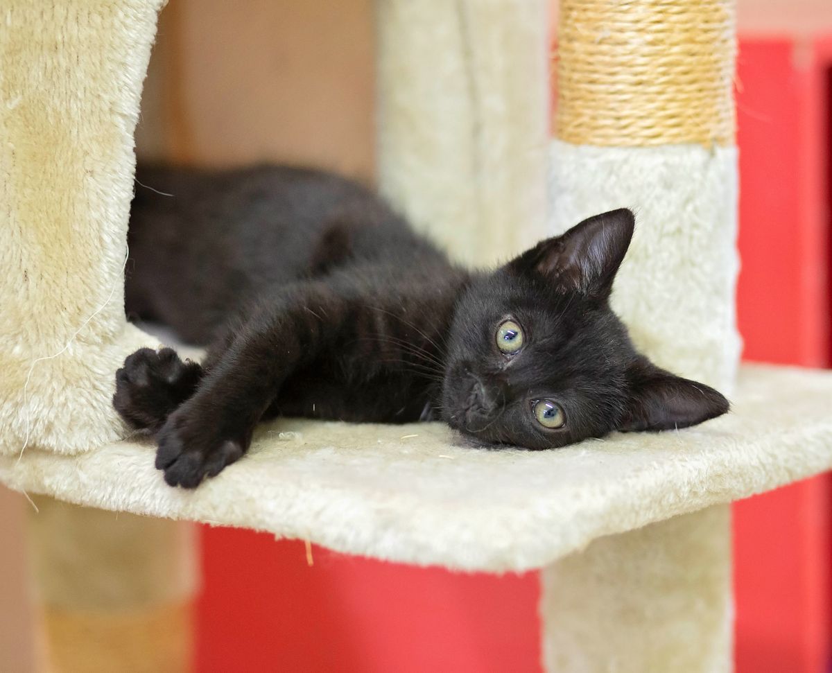 Gallery image: Sally