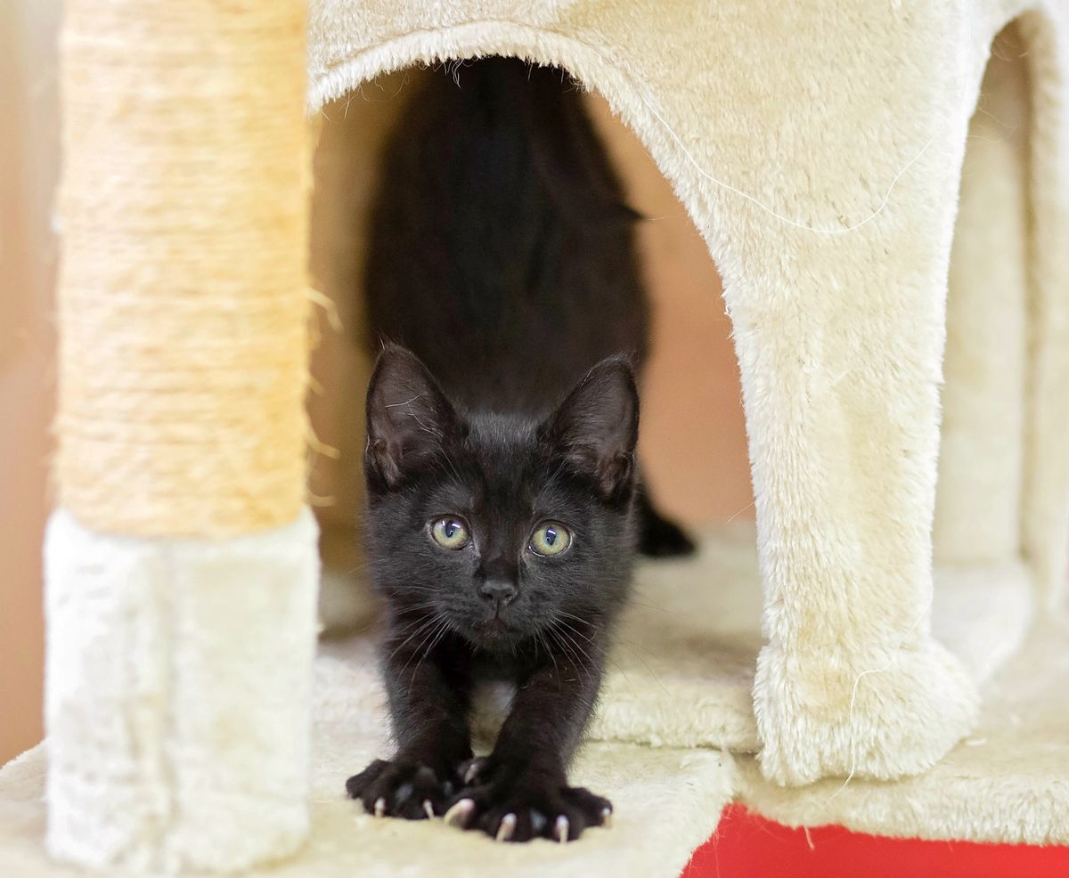 Gallery image: Sally