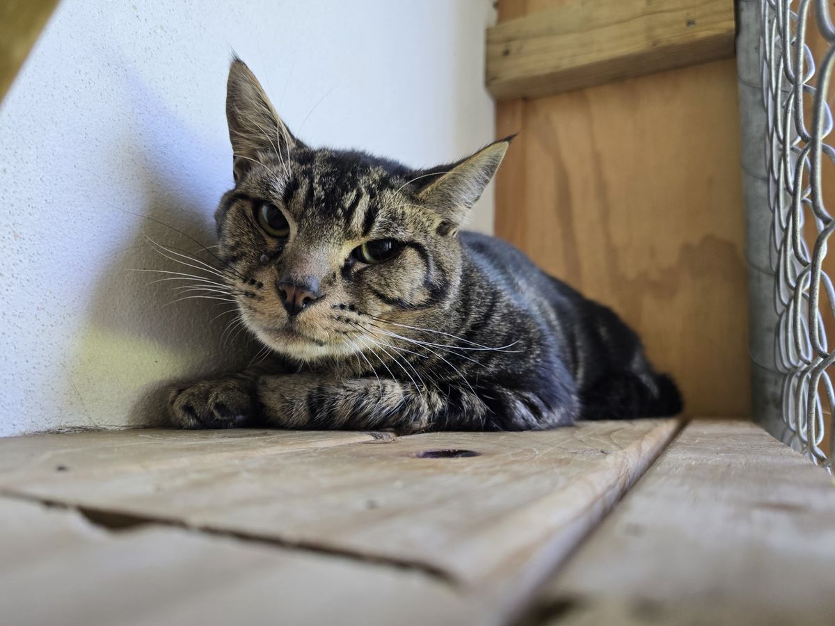 Gallery image: Turbo