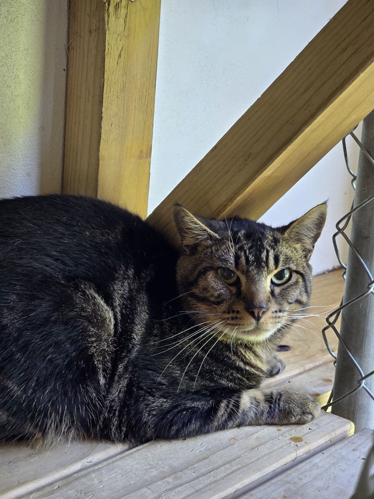 Gallery image: Turbo