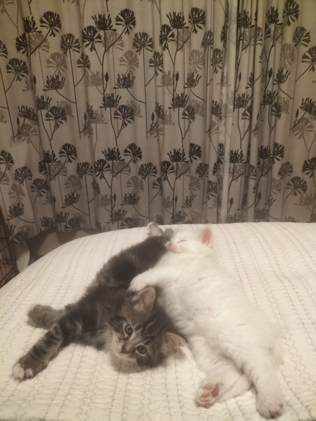 Gallery image: Smiggle