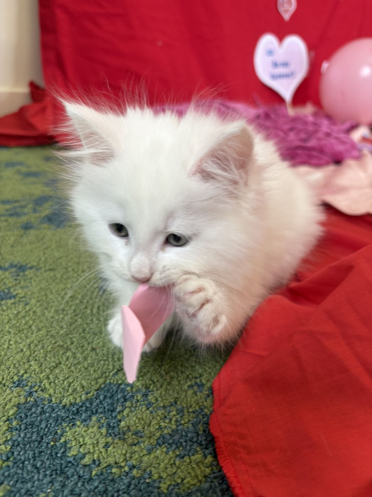 Gallery image: Smiggle