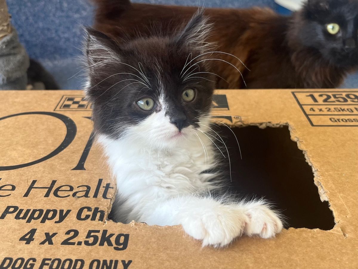 Gallery image: Biggie Smalls