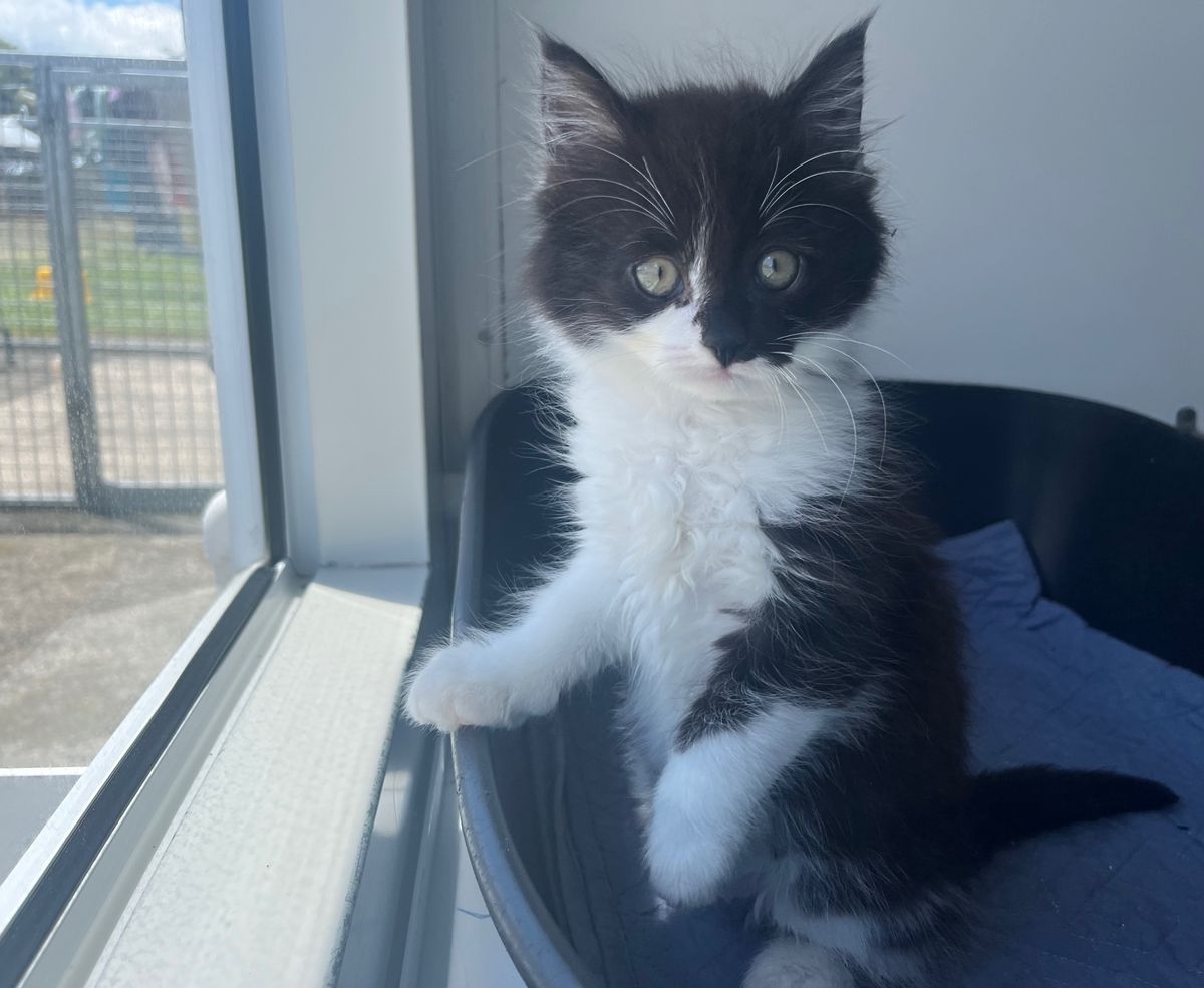 Gallery image: Biggie Smalls