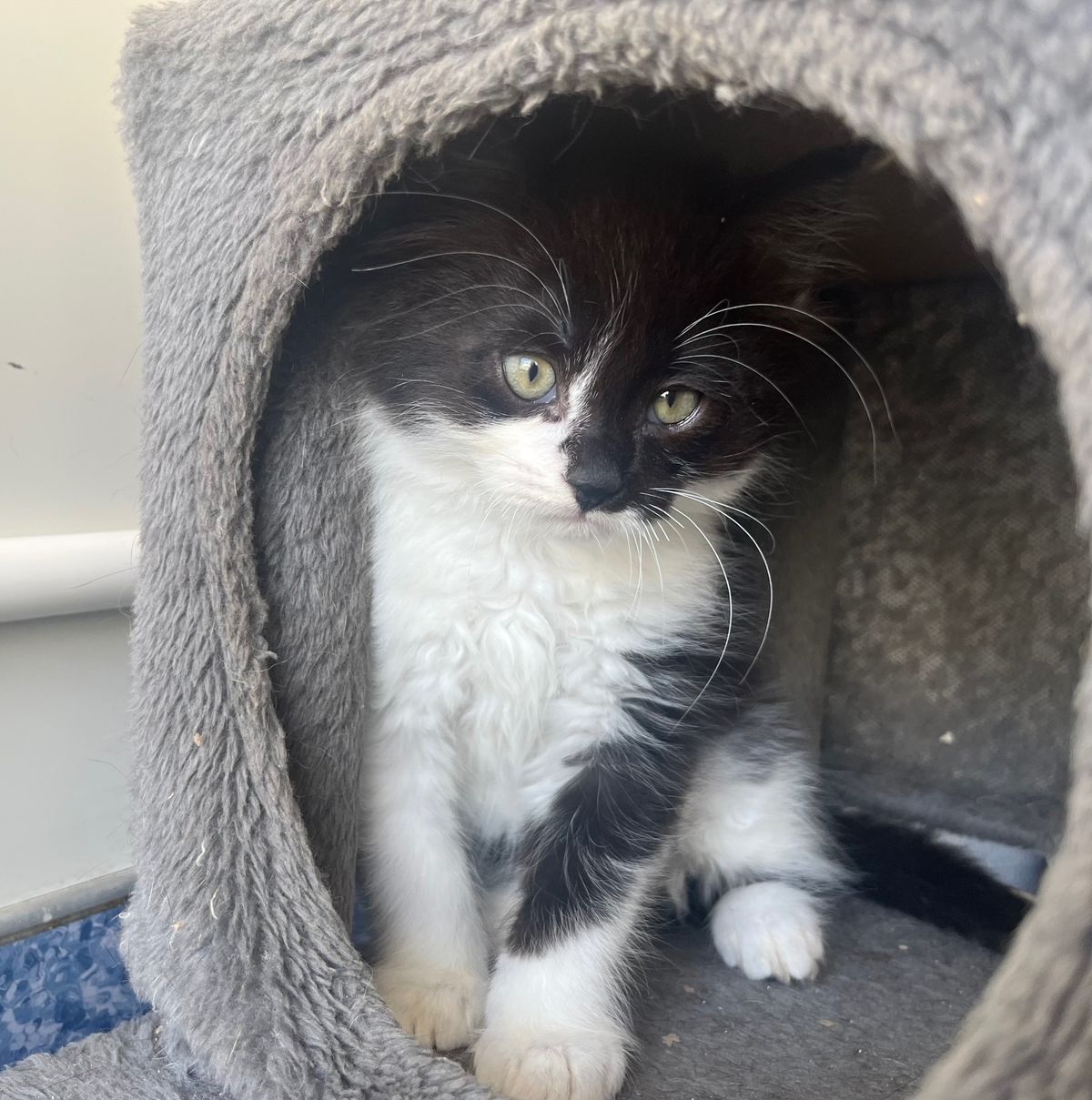 Gallery image: Biggie Smalls