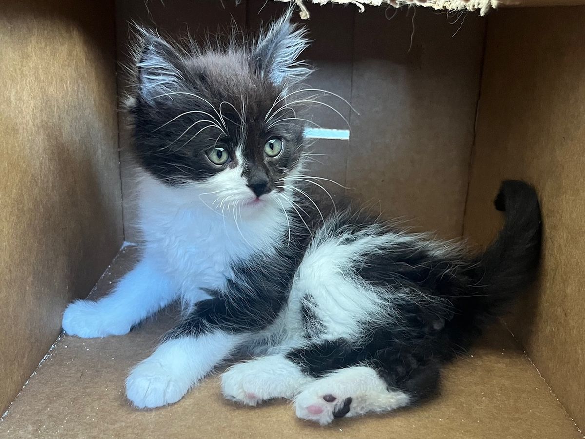 Gallery image: Biggie Smalls