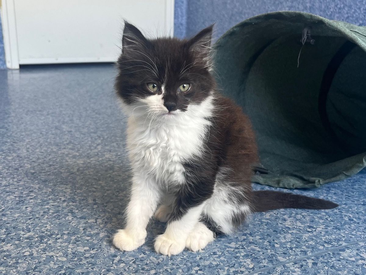 Gallery image: Biggie Smalls