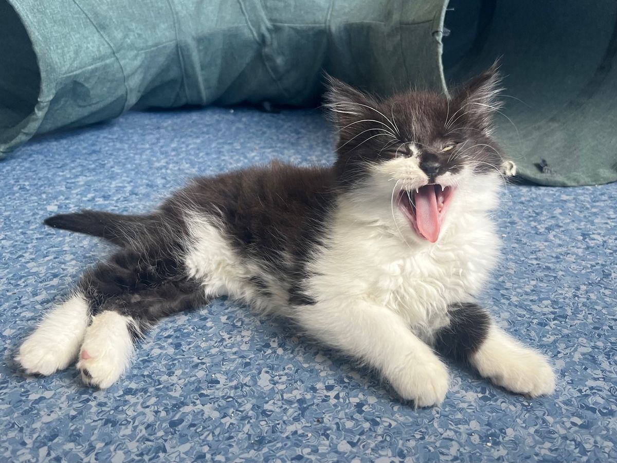 Gallery image: Biggie Smalls