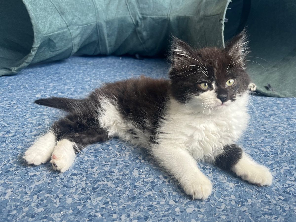 Gallery image: Biggie Smalls