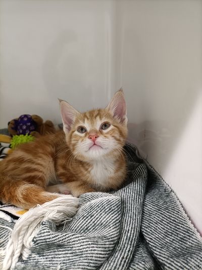 Bob Jeffery The Third