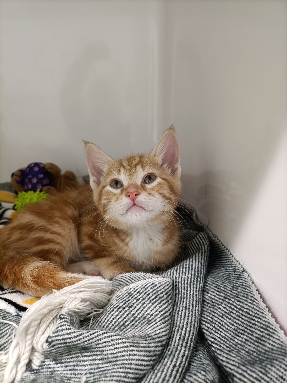 Gallery image: Bob Jeffery The Third