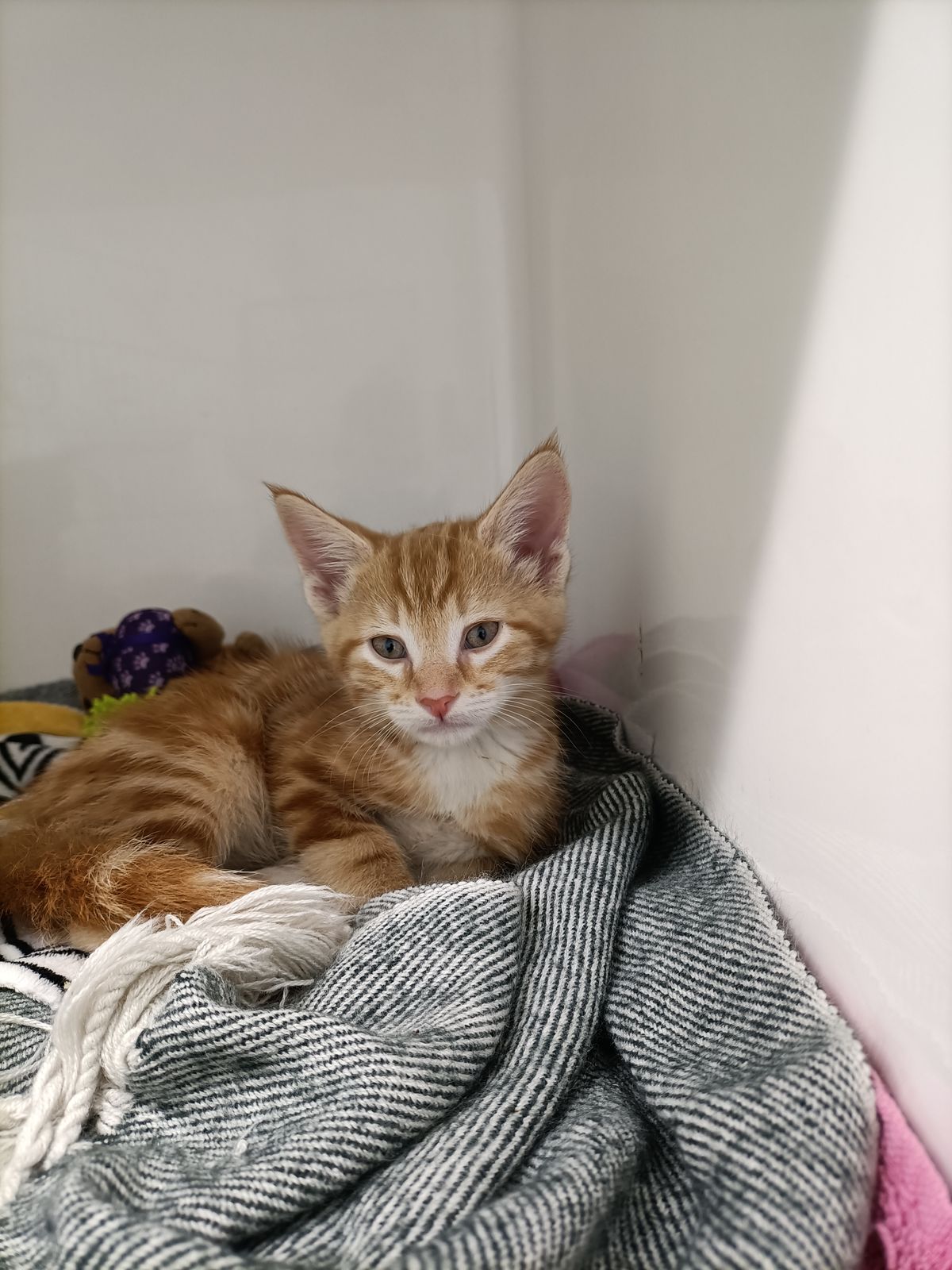 Gallery image: Bob Jeffery The Third