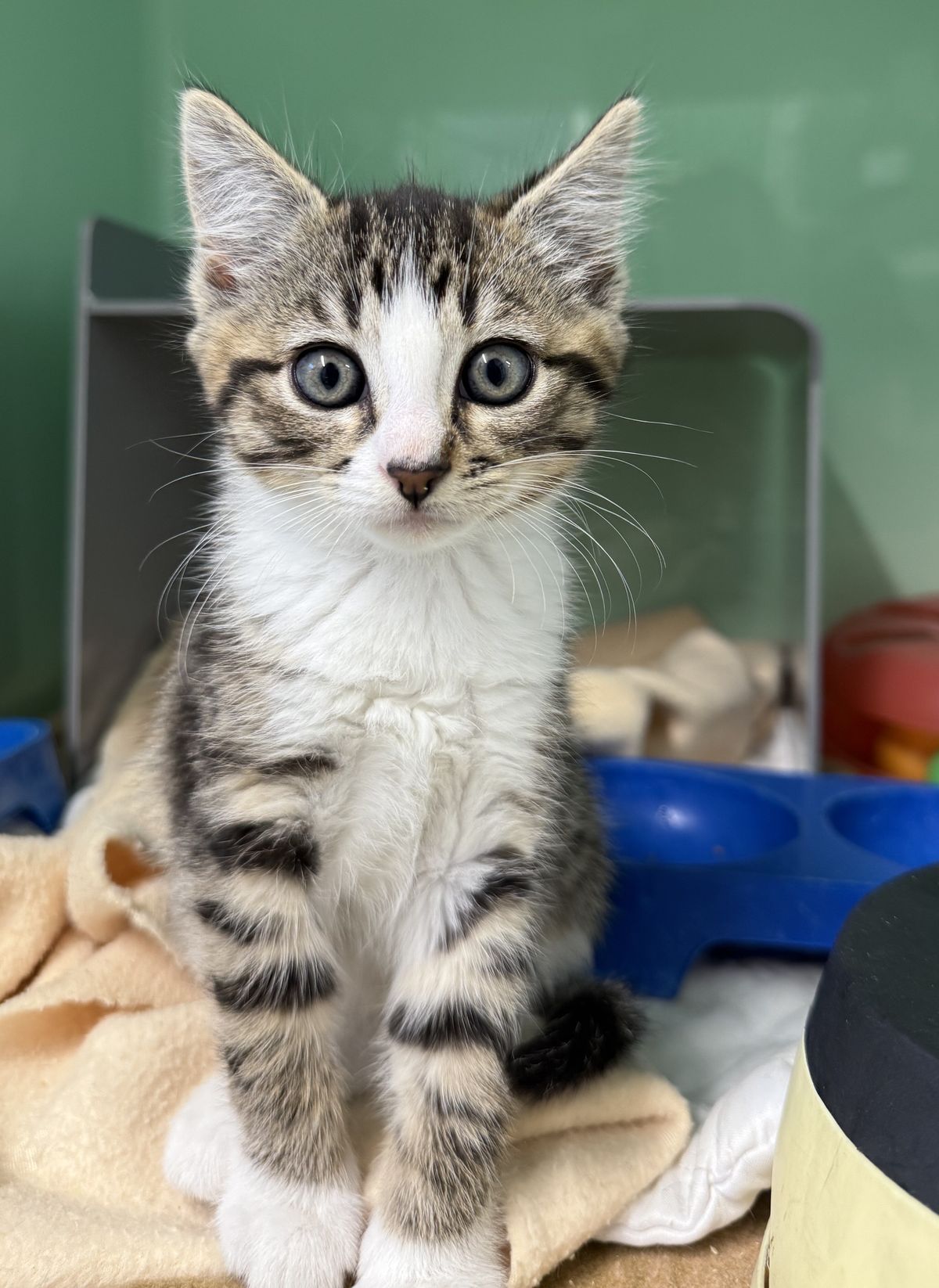 Gallery image: Top Deck